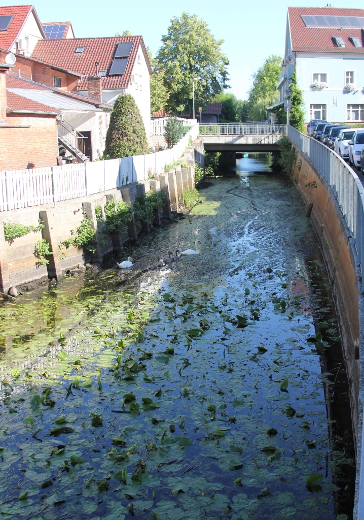 Auch dem Schutzgraben in Lübben sind die Folgen der anhaltenden Trockenheit und Hitze deutlich anzusehen (Foto: Landkreis Dahme-Spreewald)