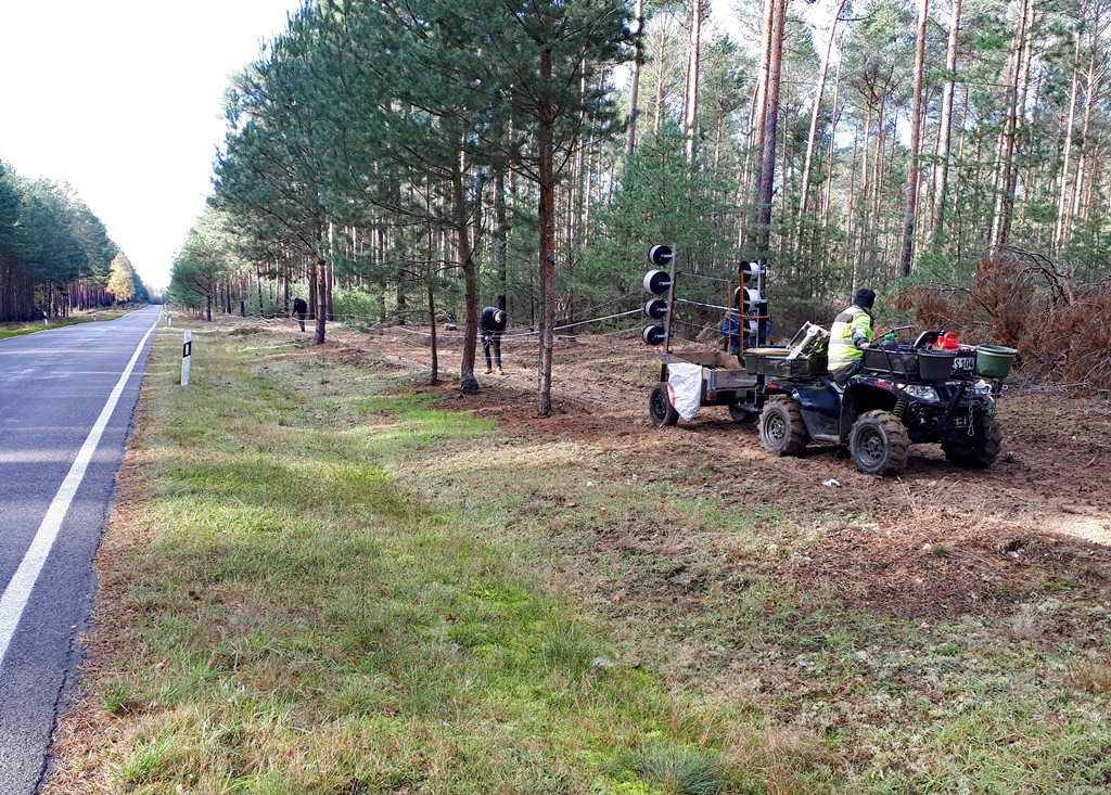 Mitarbeiter einer beauftragten Firma stellen in Abstimmung mit der unteren Jagdbehörde derzeit einen mobilen Elektrozaun nördlich der L 434 bei Trebitz und Ullersdorf auf, der später durch einen festen Wildschutzzaun ersetzt wird. (Fotos: Landkreis Dahme-Spreewald)
