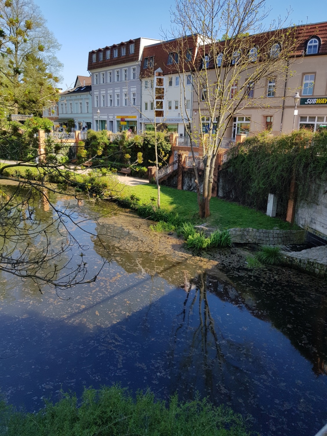 Algenbildung Nottekanal Königs Wusterhausen