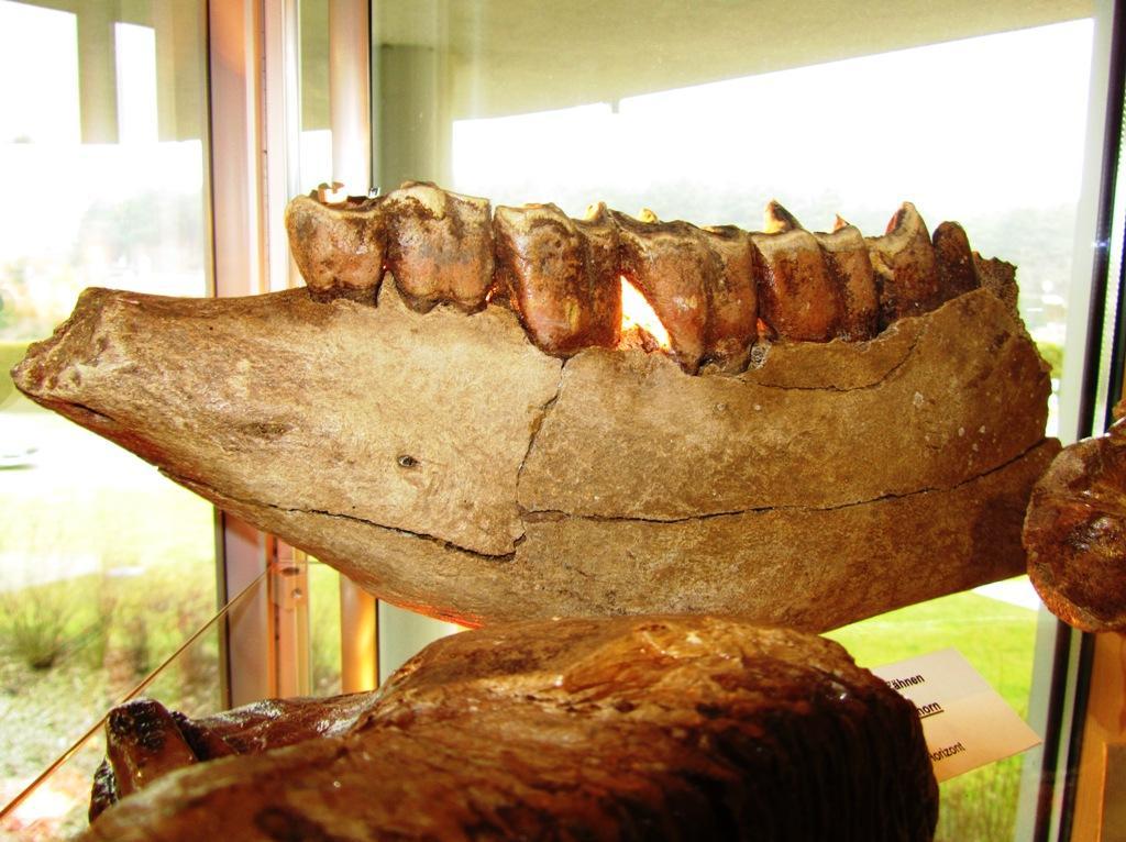 Ausstellung Umweltamt 2