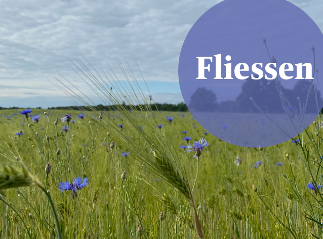 Sie sehen das Titelmotiv der Konzertreihe "Fliessen". Sie sehen das Titelmotiv der Konzertreihe "Fliessen".