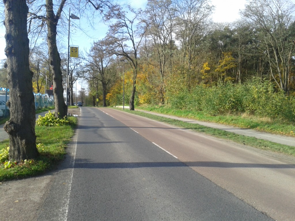 Kreisstraße K 6160, OD Wildau (Chausseestraße)