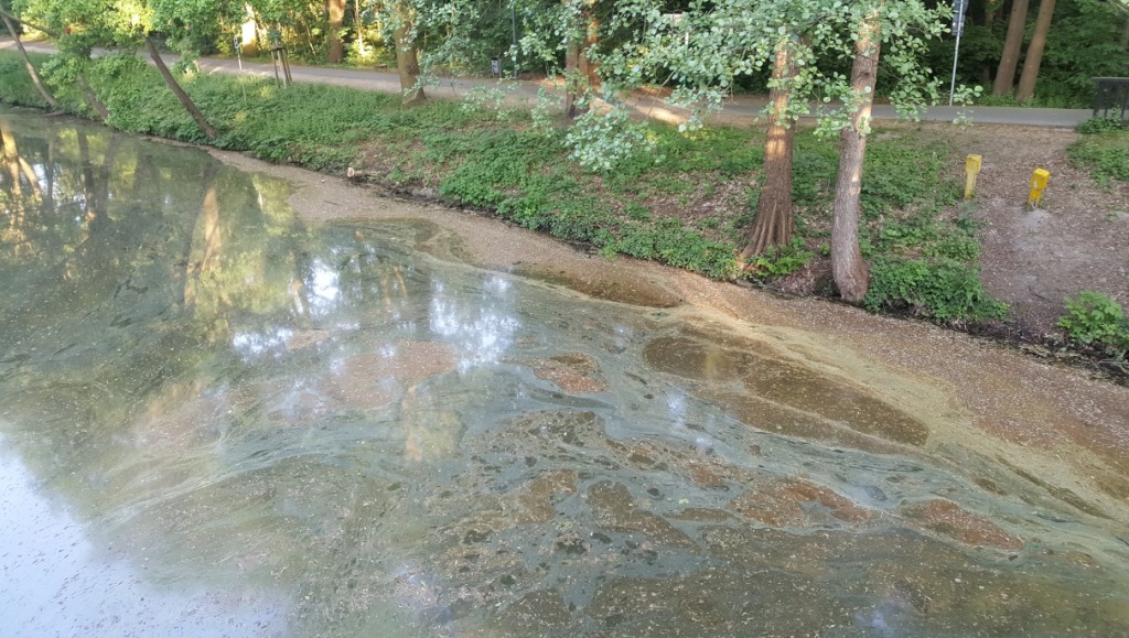 Nottekanal, fotografiert am 09.05.2018 abends Foto: Umweltamt