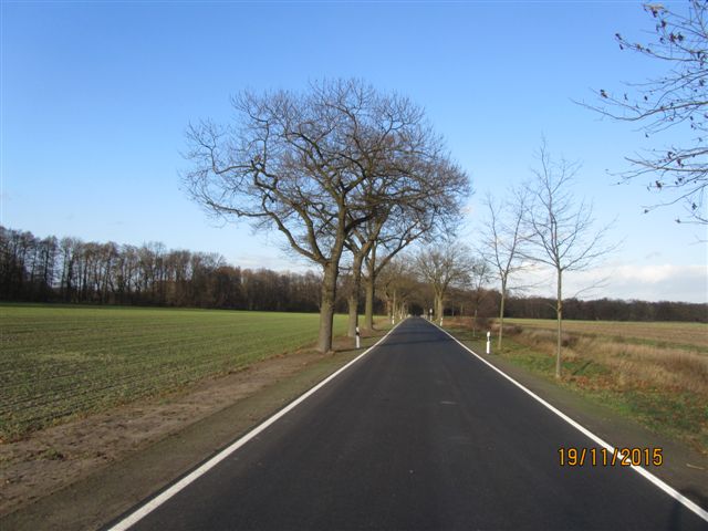 neue Straße zwischen Kasel-Golzig und Reichwalde (Foto: LDS)