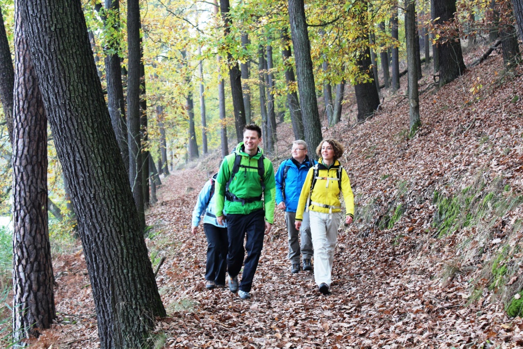 Wandern erfreut sich auch im Dahme-Seenland immer größer werdender Beliebtheit (Foto: TV Dahme-Seen e.V.)