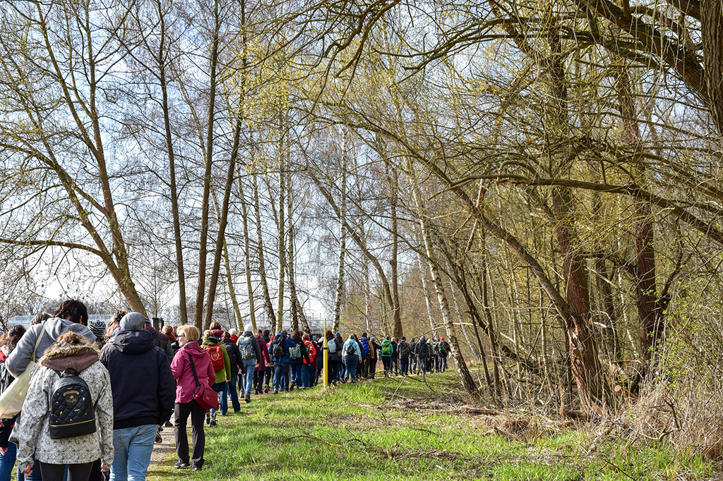 Zu sehen ist eine Wandergruppe. Zu sehen ist eine Wandergruppe.