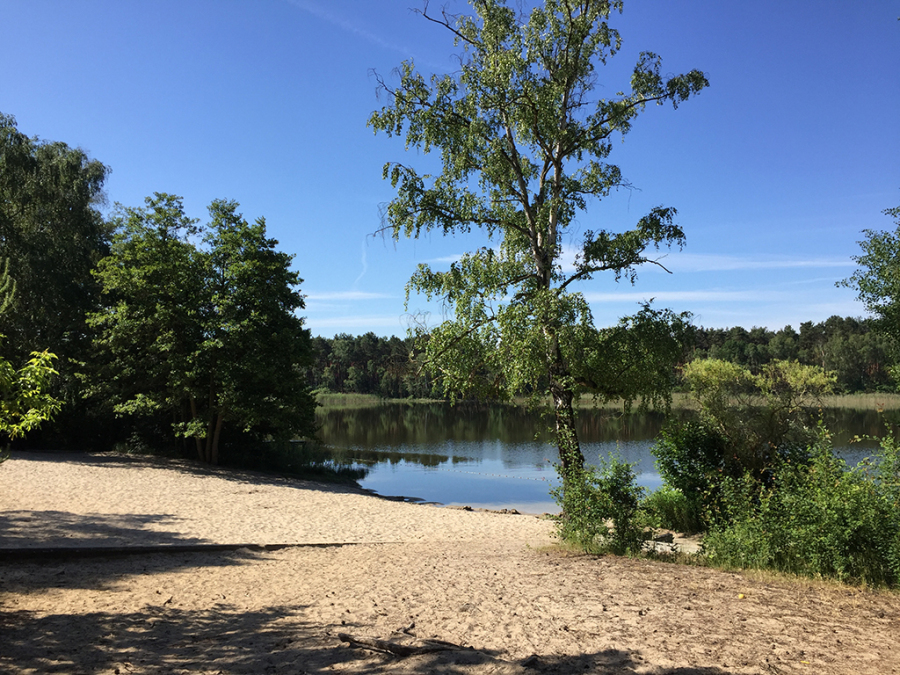 Strand des Kiez Frauensee