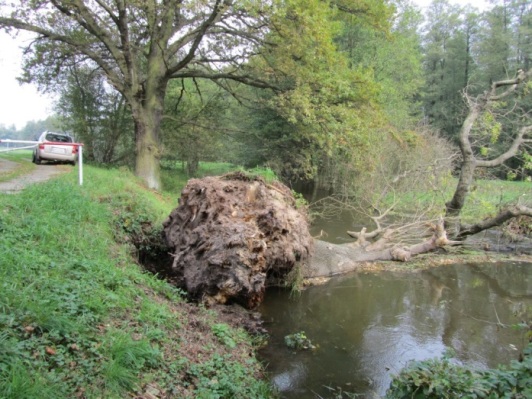 Deichunterhaltung