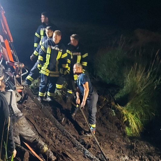 Die Stute Cherry wird von Feuerwehrkräften gerettet.