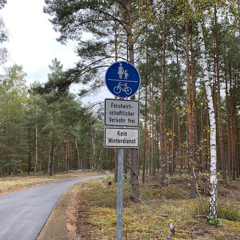 Zu sehen ist der sanierte zweite Bauabschnitt des Radweges entlang der K 6168 von Krausnick nach Brand.