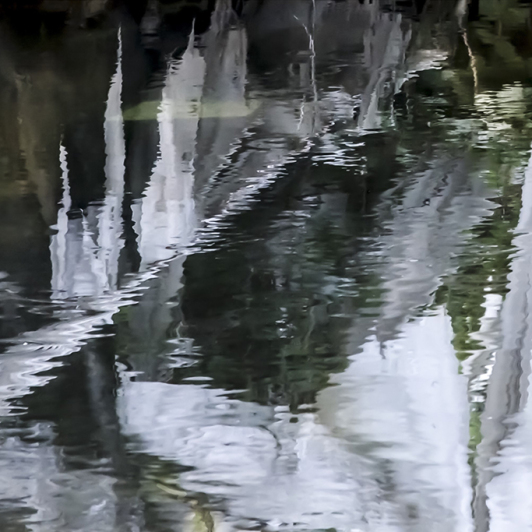 Sie sehen das Titelbild zur Ausstellung „Vielfalt im Überfluss“ von Petra Lehnardt-Olm.