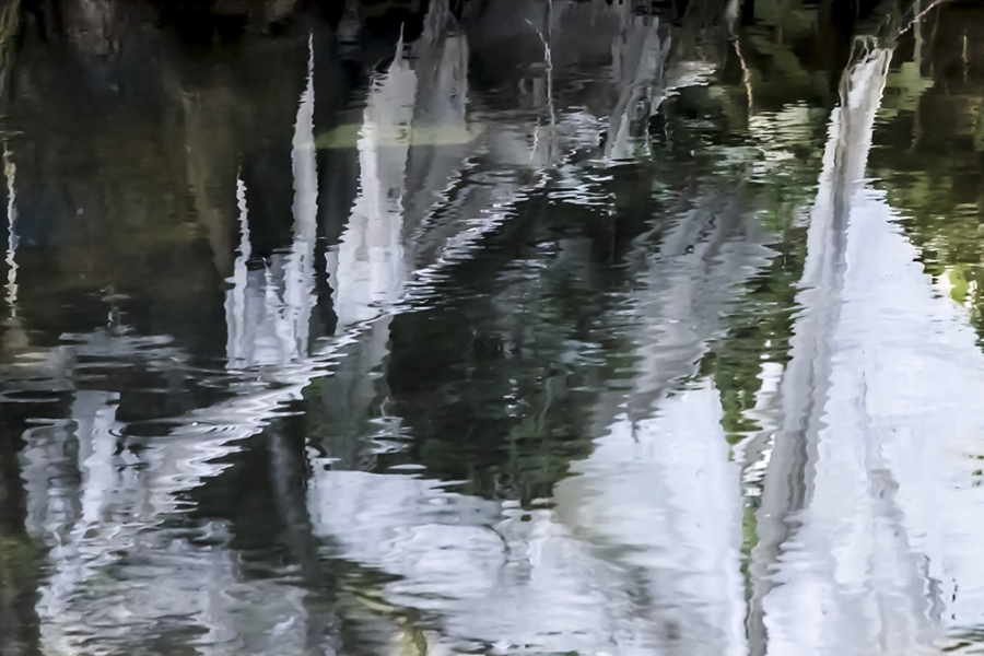 Sie sehen das Titelbild zur Ausstellung „Vielfalt im Überfluss“ von Petra Lehnardt-Olm.