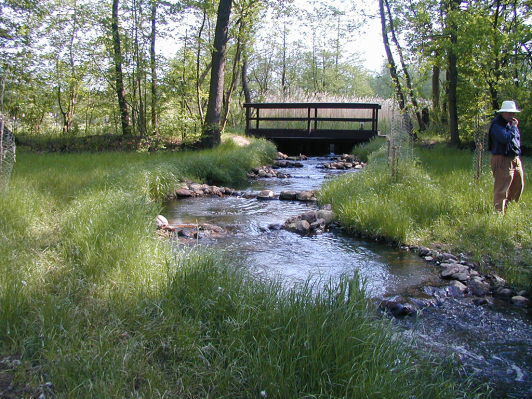 Zu sehen ist der Fischaufstieg im Schiwanstrom zum Gewässerrandstreifenprojekt Spreewald.
