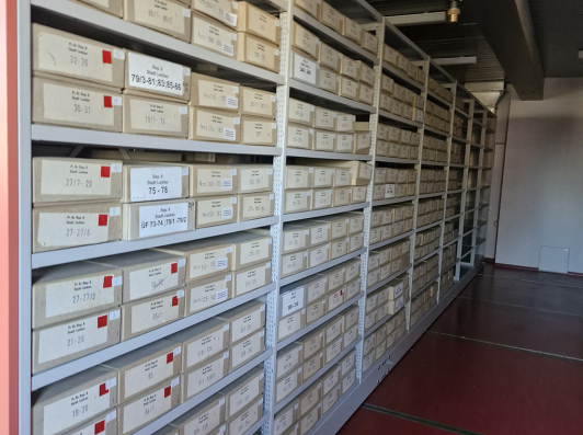 Kartons aus dem Luckauer Stadtarchivbestand