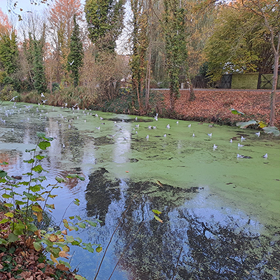 Das Foto zeigt den Nottekanal in Königs Wusterhausen.