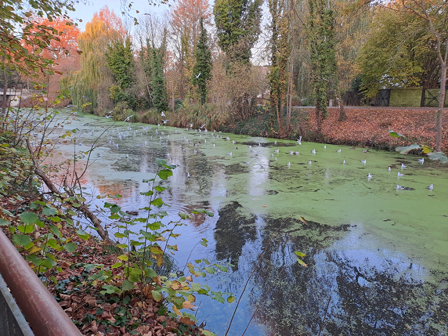 Das Foto zeigt den Nottekanal in Königs Wusterhausen.