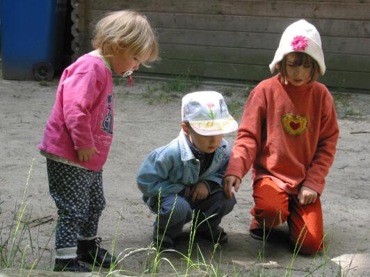 Kinder beobachten