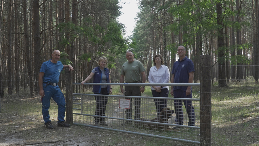 Sie sehen die Protagonisten der Afrikanische Schweinepest im Landkreis Dahme-Spreewald bei der Verkleinerung des Restriktionsgebiet.