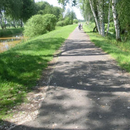 Deich im Spreewald