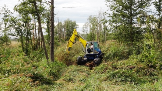 Baggerarbeiten im Kranichgraben im Oberspreewald