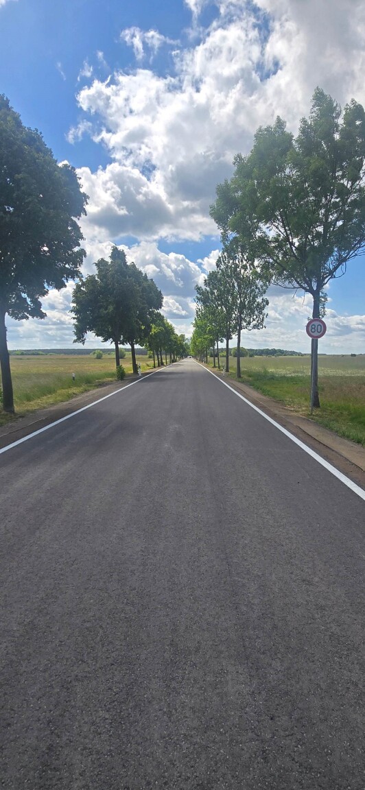 Fertigstellung Kreisstraße K 6117, Gröditsch – Pretschen neue Straße mit Alleebäumen