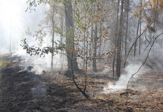 Waldbrand in der Lieberoser Heide