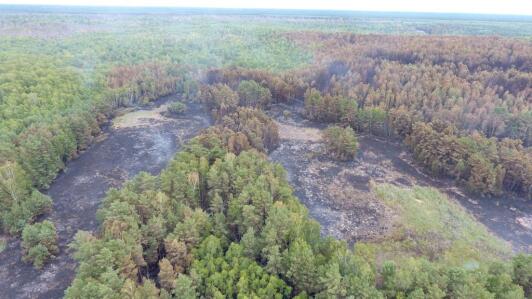 Luftbild Lieberoser Heide