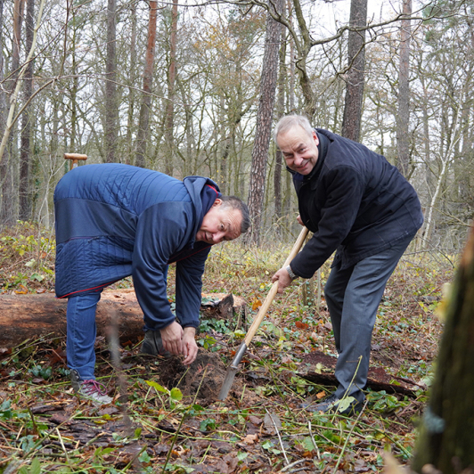 Luckauer Grundschulklasse und MBS forsten „Sparkassenwald“ auf