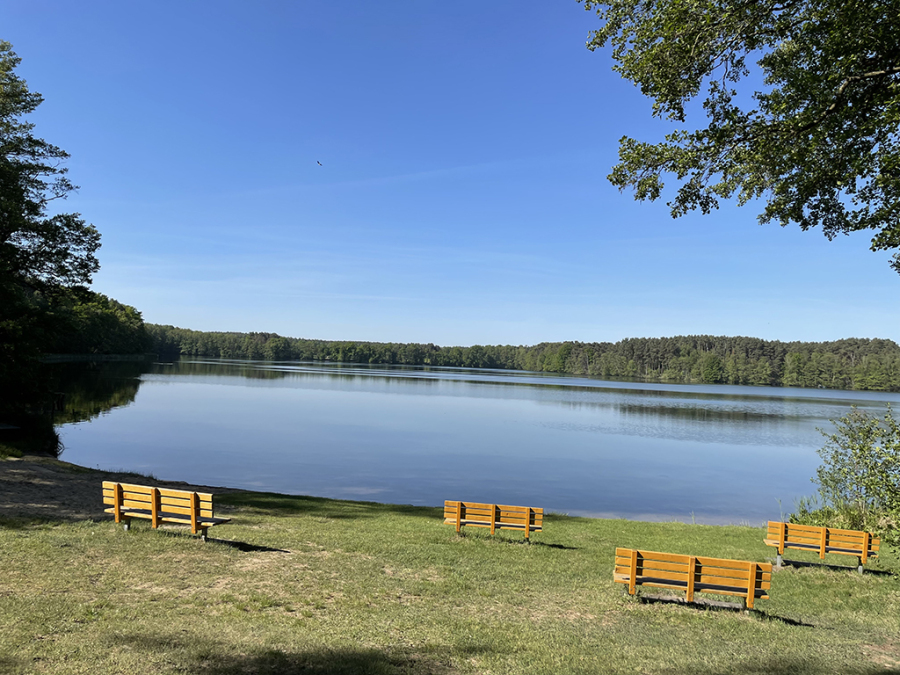 Strand des Mochowsee in Lams­feld (Camping­platz)
