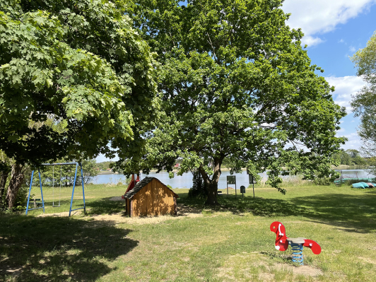 Strand des Neuen­dorfer See in Hohen­brück