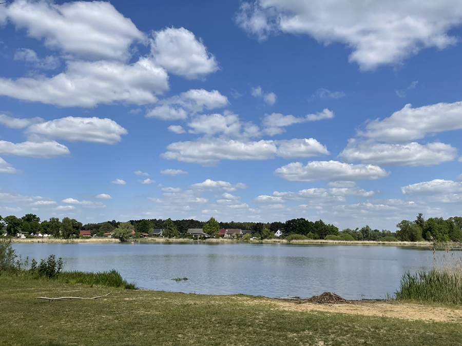 Strand des Neuen­dorfer See in Hohen­brück