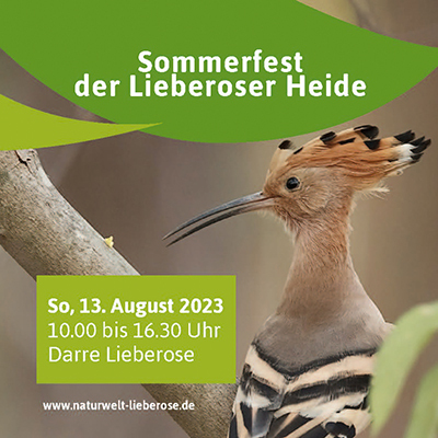 Zu sehen ist das Ankündigungsplakat zum Sommerfest der Lieberoser Heide 2023 im Landkreis Dahme-Spreewald.