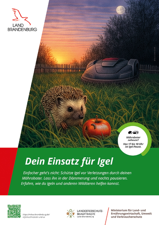 Zu sehen ist das Plakat zu Schütze Igel vor Verletzungen durch deinen Mähroboter. Lass ihn in der Dämmerung und nachts pausieren.