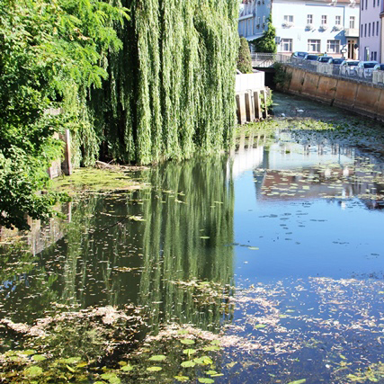 Niedrigwasser Wasserentnahme 2019 Teaser