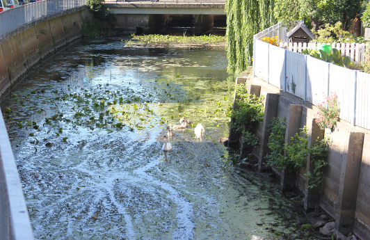 Zu sehen ist der Schutzgraben in Lübben. Zu sehen ist der Schutzgraben in Lübben.