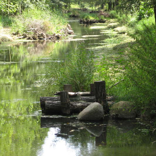 Spreewald Struktureinbauten Rittekanal