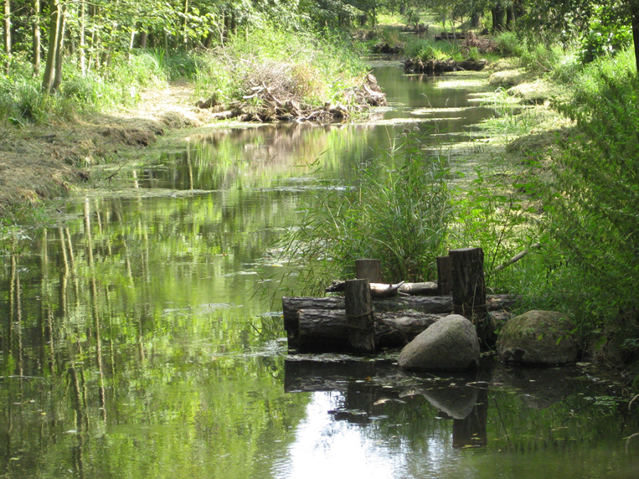 Spreewald Struktureinbauten Rittekanal