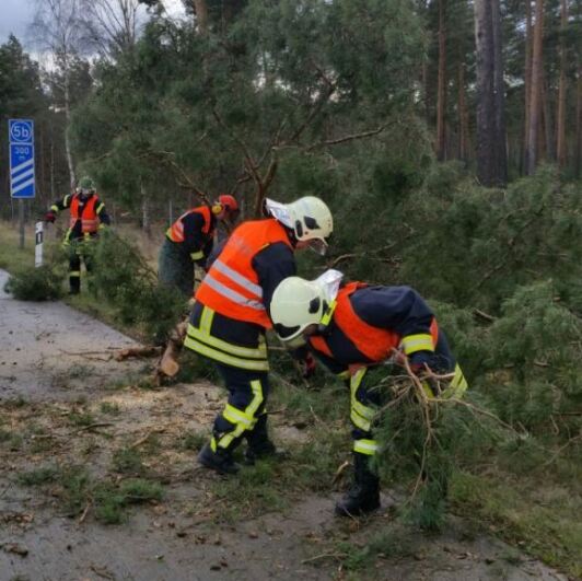 Die Freiwillige Feuerwehr Halbe bei der Beseitigung der Sturmschäden