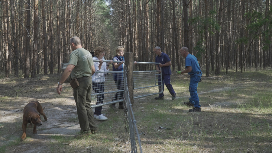 Sie sehen die Protagonisten der Afrikanische Schweinepest im Landkreis Dahme-Spreewald bei der Verkleinerung des Restriktionsgebiet.