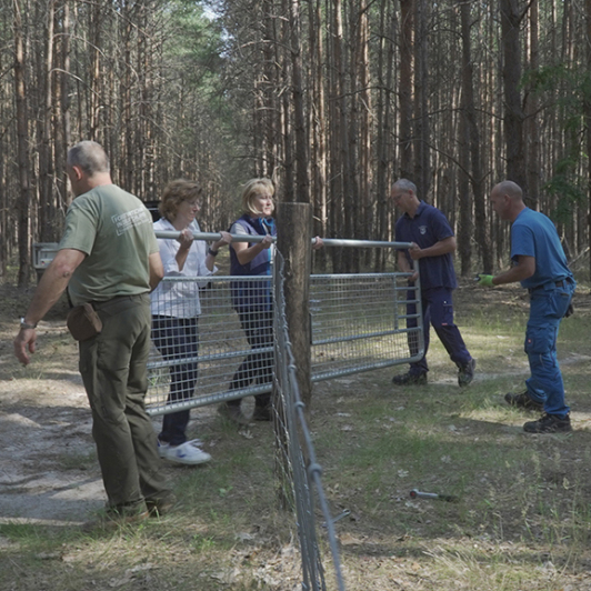 Sie sehen die Protagonisten der Afrikanische Schweinepest im Landkreis Dahme-Spreewald bei der Verkleinerung des Restriktionsgebiet.