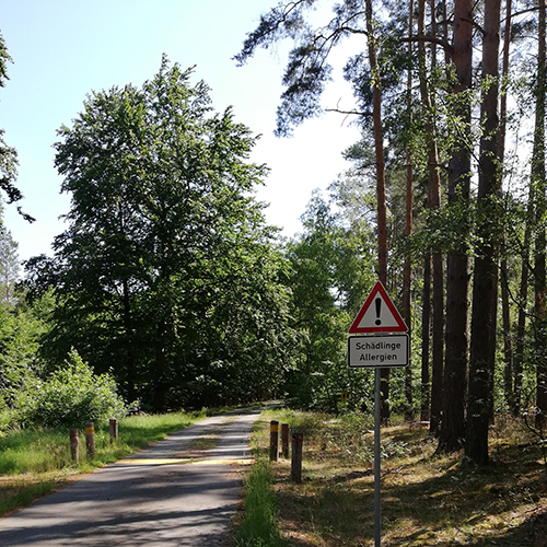 Zu sehen ist ein Warnschild an einem Radweg als Vorsichtsmaßnahme der Bürgerinnen und Bürger vor dem Eichenprozessionsspinner.