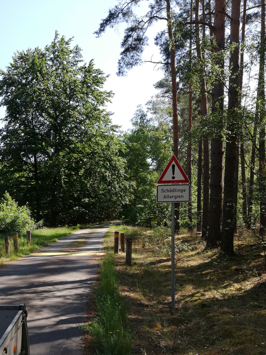 Zu sehen ist ein Warnschild an einem Radweg als Vorsichtsmaßnahme der Bürgerinnen und Bürger vor dem Eichenprozessionsspinner. Zu sehen ist ein Warnschild an einem Radweg als Vorsichtsmaßnahme der Bürgerinnen und Bürger vor dem Eichenprozessionsspinner.