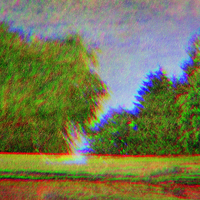 Bäume aus dem Fichtelgebirge mit dem Titel "Retroperspektive".