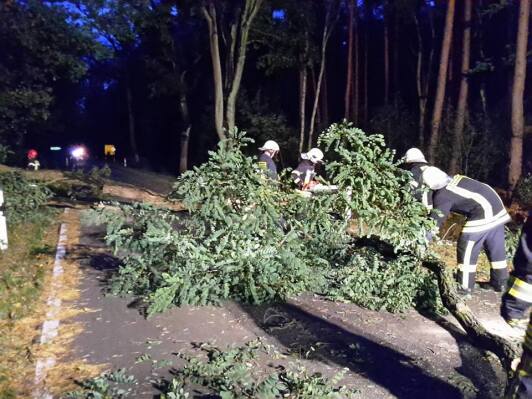 Feuerwehreinsatz wegen eines umgefallenen Baumes in Schönwalde