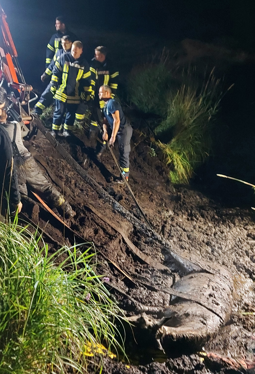 Spektakuläre Rettungsaktion von Stute "Cherry" (Foto: Veterinäramt, Landkreis Dahme-Spreewald)